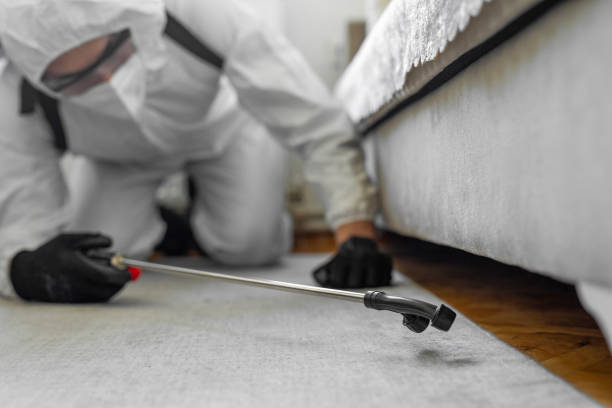 Professional Termite Control technician working in Tokeneke, CT
