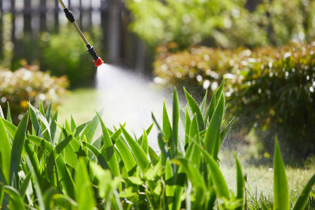 24/7 Emergency Termite Control experts in Tokeneke, CT