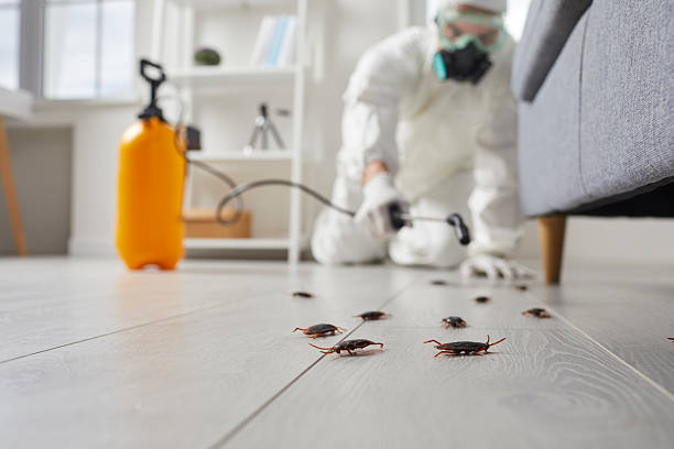 Trusted Fumigation Services service in Tokeneke, CT - Nex Pest Control