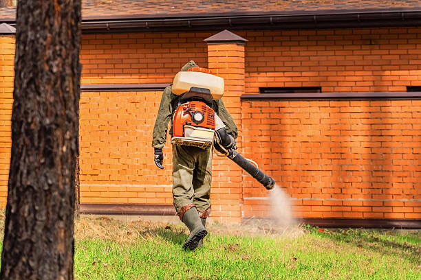 Trusted Bed Bug Control service in Tokeneke, CT - Nex Pest Control